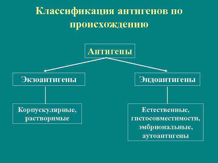 Классификация антигенов по происхождению Антигены Экзоантигены Эндоантигены Корпускулярные, растворимые Естественные, гистосовместимости, эмбриональные, аутоантигены 