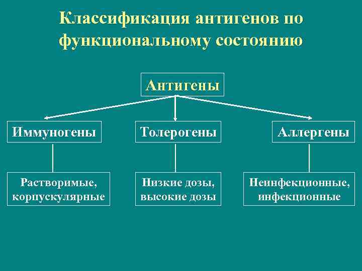 Классификация антигенов по функциональному состоянию Антигены Иммуногены Толерогены Аллергены Растворимые, корпускулярные Низкие дозы, высокие