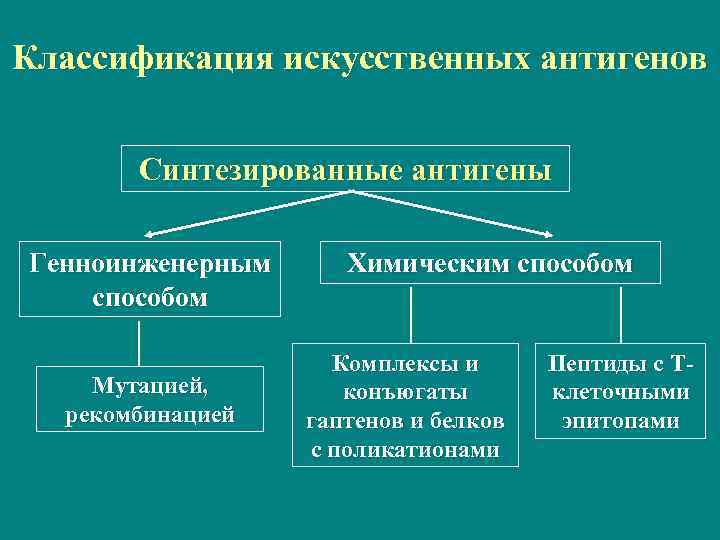 Классификация искусственных антигенов Синтезированные антигены Генноинженерным способом Мутацией, рекомбинацией Химическим способом Комплексы и конъюгаты