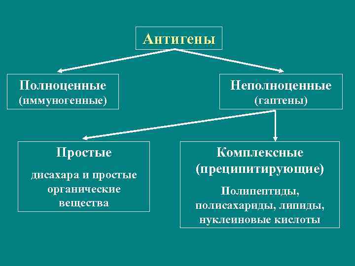 Антигены Полноценные Неполноценные (иммуногенные) (гаптены) Простые дисахара и простые органические вещества Комплексные (преципитирующие) Полипептиды,