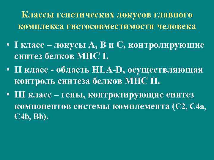 Классы генетических локусов главного комплекса гистосовместимости человека • I класс – локусы А, В