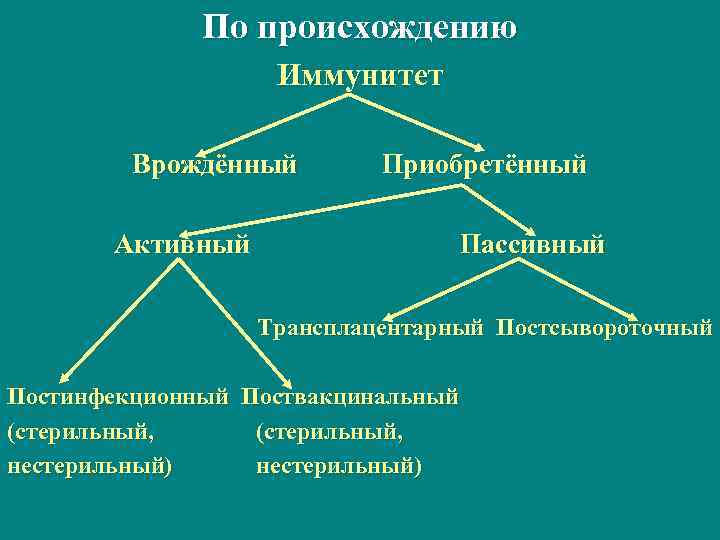 По происхождению Иммунитет Врождённый Активный Приобретённый Пассивный Трансплацентарный Постсывороточный Постинфекционный Поствакцинальный (стерильный, нестерильный) 