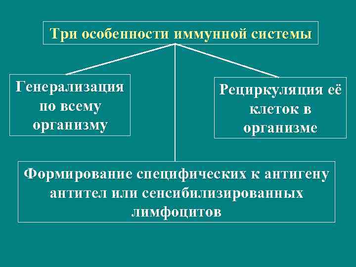 Три особенности иммунной системы Генерализация по всему организму Рециркуляция её клеток в организме Формирование