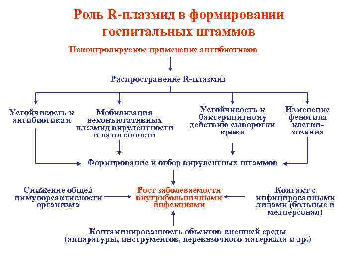 Условная инфекция