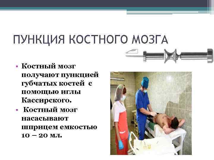 ПУНКЦИЯ КОСТНОГО МОЗГА • Костный мозг получают пункцией губчатых костей с помощью иглы Кассирского.
