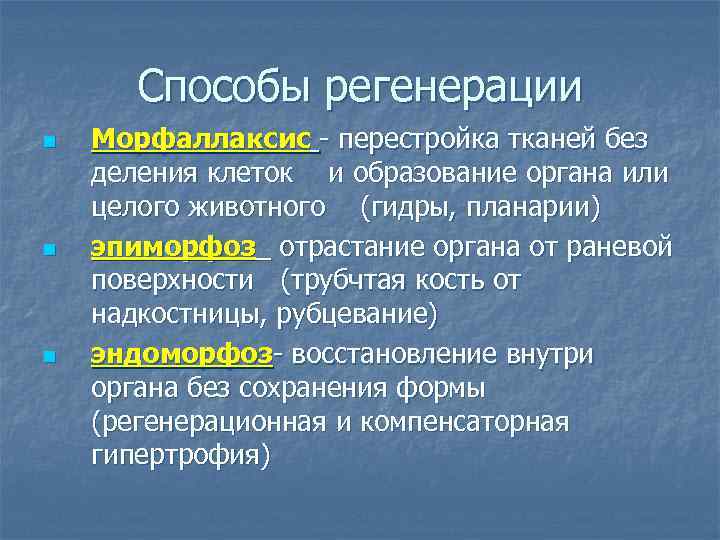 Способы регенерации n n n Морфаллаксис - перестройка тканей без деления клеток и образование