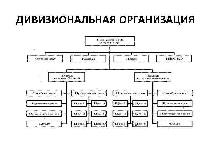 Дивизиональная структура проекта