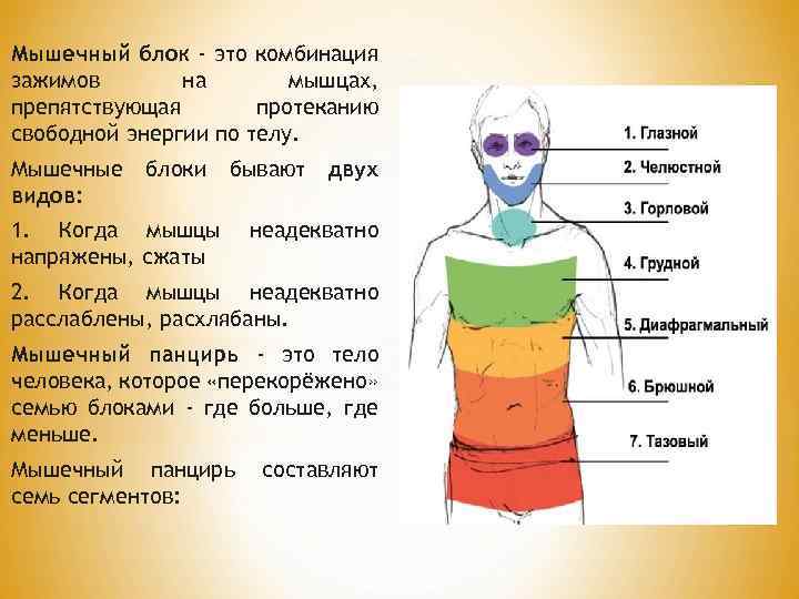 Мышечный блок - это комбинация зажимов на мышцах, препятствующая протеканию свободной энергии по телу.