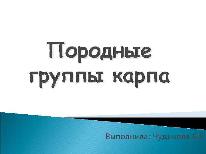 Породные группы карпа Выполнила: Чудинова Е. В 