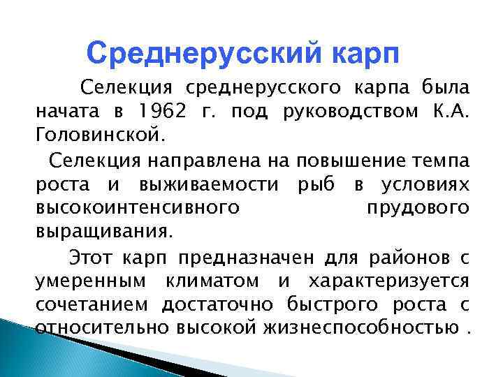 Среднерусский карп Селекция среднерусского карпа была начата в 1962 г. под руководством К. А.