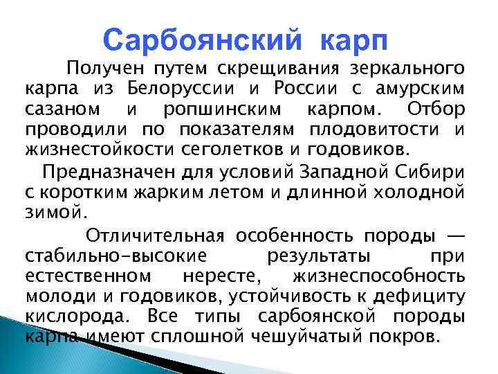 Сарбоянский карп Получен путем скрещивания зеркального карпа из Белоруссии и России с амурским сазаном