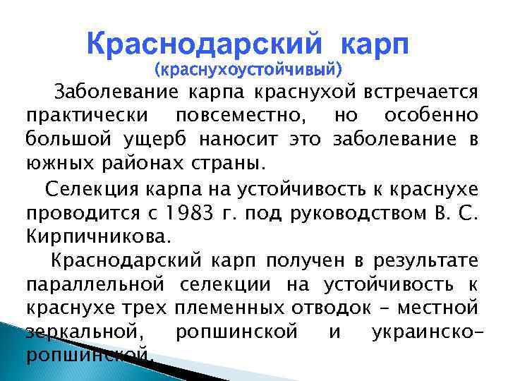 Краснодарский карп (краснухоустойчивый) Заболевание карпа краснухой встречается практически повсеместно, но особенно большой ущерб наносит