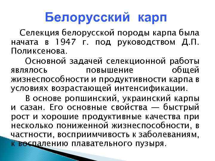 Белорусский карп Селекция белорусской породы карпа была начата в 1947 г. под руководством Д.