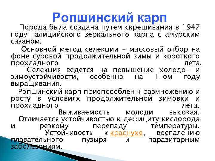 Ропшинский карп Порода была создана путем скрещивания в 1947 году галицийского зеркального карпа с