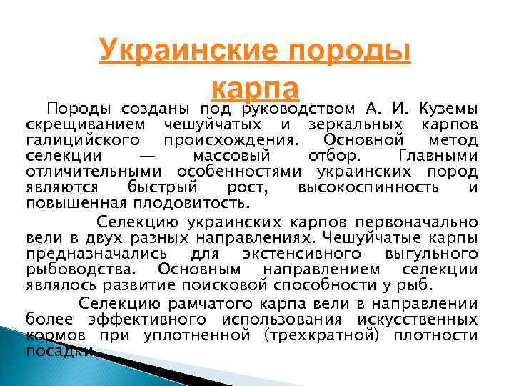  Украинские породы карпа Породы созданы под руководством А. И. Куземы скрещиванием чешуйчатых и