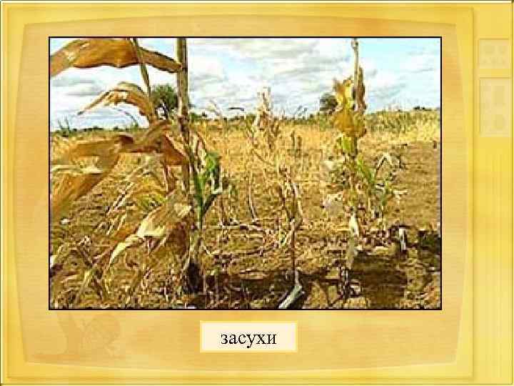 засухи 