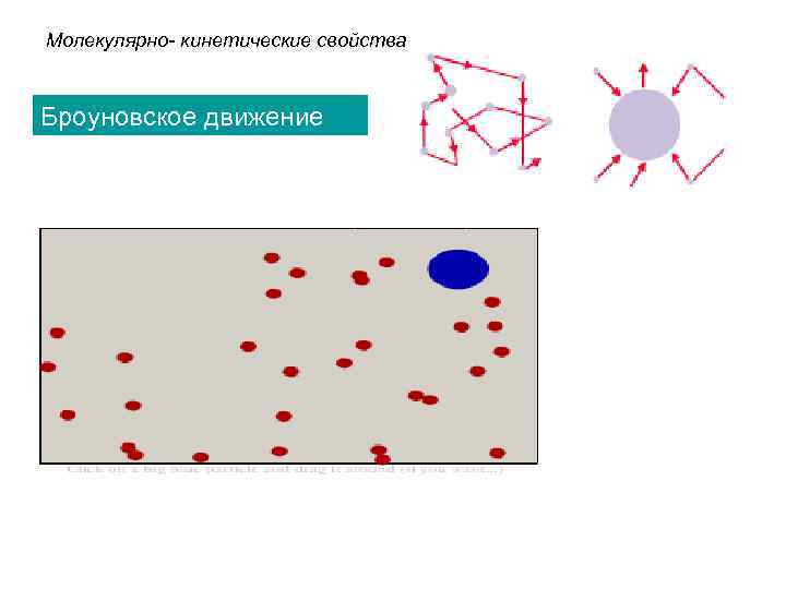 Молекулярно- кинетические свойства Броуновское движение 