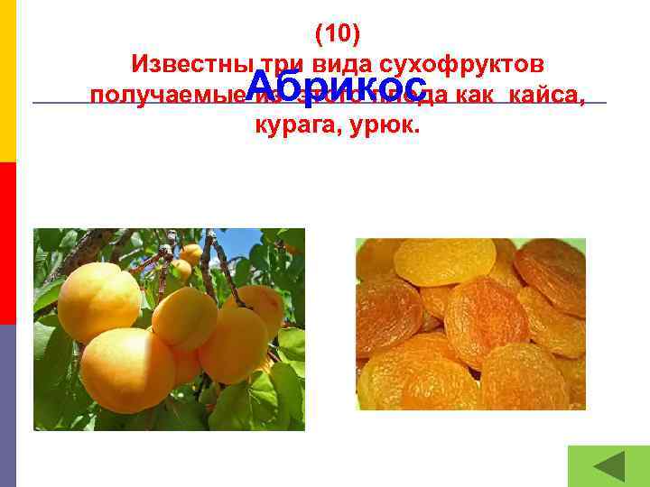 (10) Известны три вида сухофруктов получаемые из этого плода как кайса, курага, урюк. Абрикос