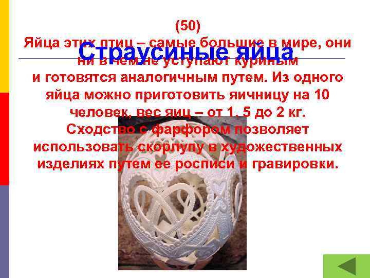 (50) Яйца этих птиц – самые большие в мире, они ни в чем не