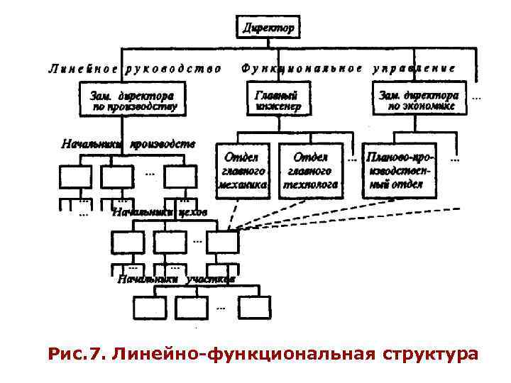 Рис. 7. Линейно-функциональная структура 