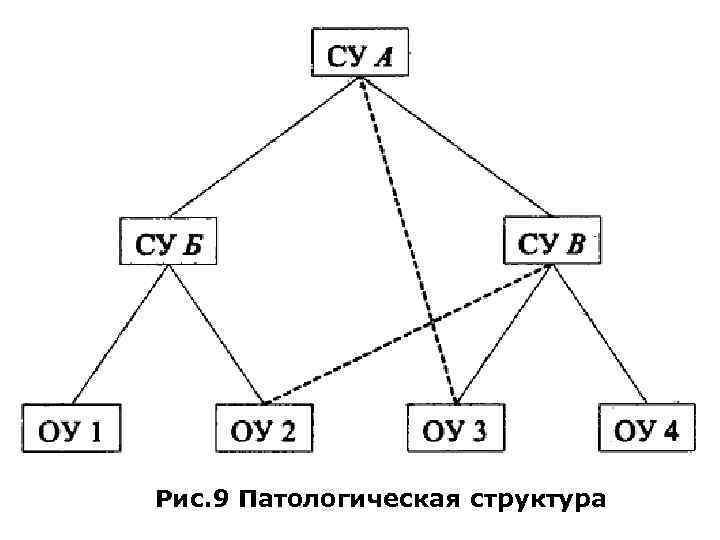 Рис. 9 Патологическая структура 