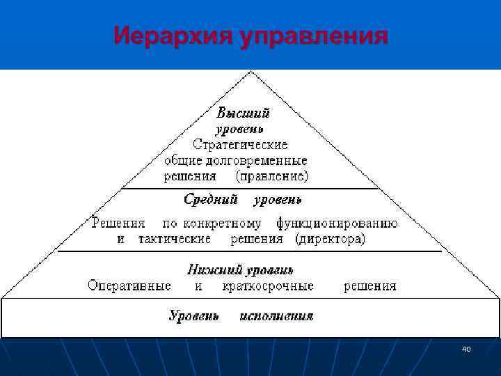 Иерархия управления 40 