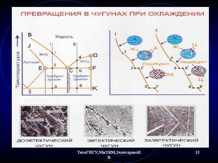 Тюм. ГНГУ, Ми. ТКМ, Золотарева. Е В 13 