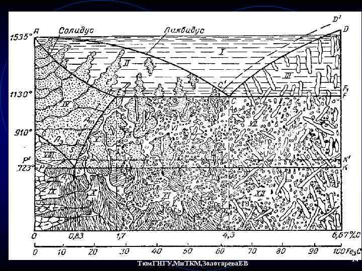 Тюм. ГНГУ, Ми. ТКМ, Золотарева. ЕВ 14 