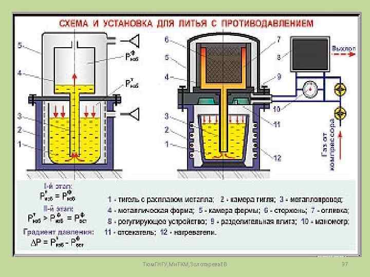 Тюм. ГНГУ, Ми. ТКМ, Золотарева. ЕВ 37 