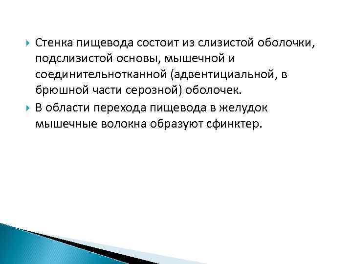  Стенка пищевода состоит из слизистой оболочки, подслизистой основы, мышечной и соединительнотканной (адвентициальной, в