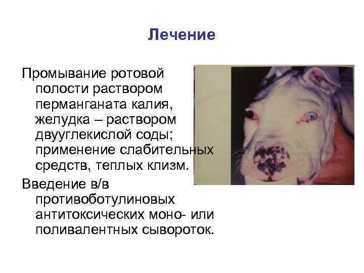 Лечение Промывание ротовой полости раствором перманганата калия, желудка – раствором двууглекислой соды; применение слабительных