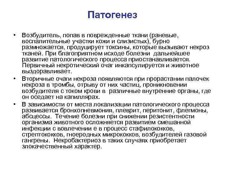 Патогенез • Возбудитель, попав в поврежденные ткани (раневые, воспалительные участки кожи и слизистых), бурно