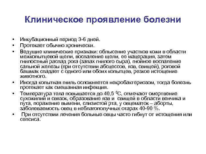 Клиническое проявление болезни • • • Инкубационный период 3 -6 дней. Протекает обычно хронически.