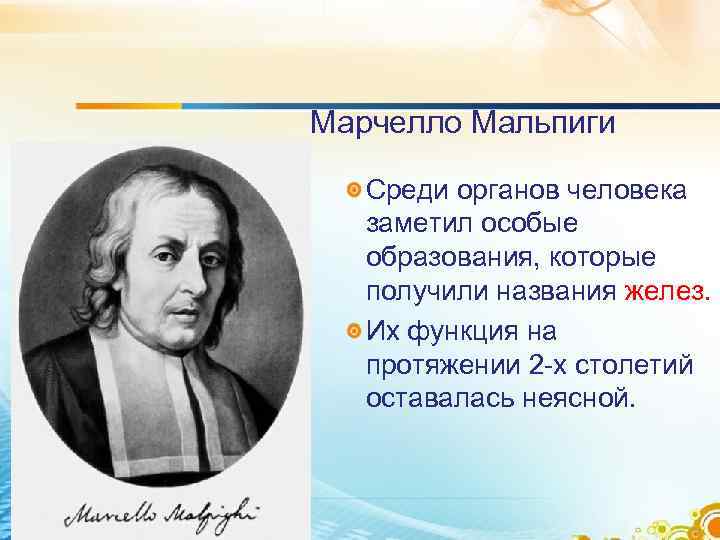 Презентация марчелло мальпиги