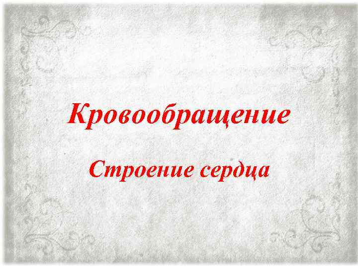 Кровообращение Строение сердца 