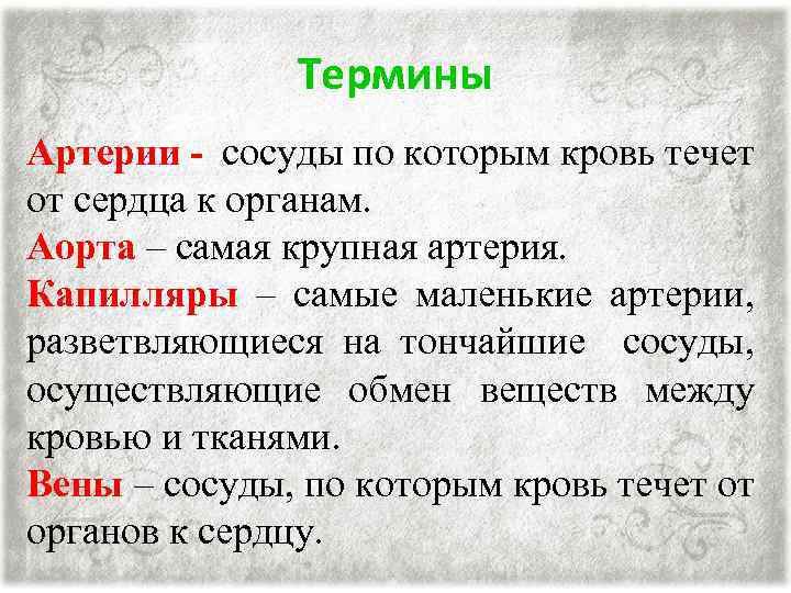 Термины Артерии - сосуды по которым кровь течет от сердца к органам. Аорта –