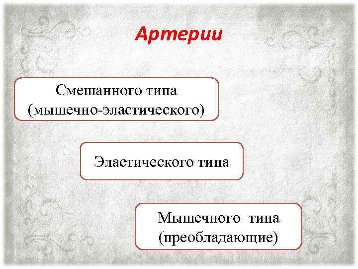 Артерии Смешанного типа (мышечно-эластического) Эластического типа Мышечного типа (преобладающие) 