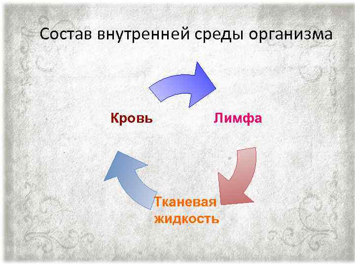 Состав внутренней среды. Состав внутренней среды организма. Что входит в состав внутренней среды живого существа. В состав внутренней среды входят следующие жидкости:.