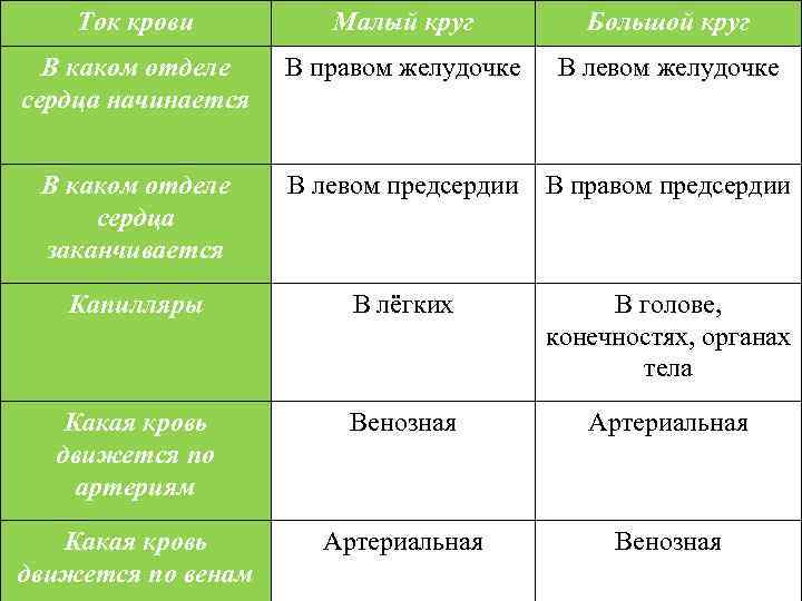 Ток крови Малый круг Большой круг В каком отделе сердца начинается В правом желудочке