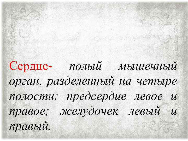 Сердце- полый мышечный орган, разделенный на четыре полости: предсердие левое и правое; желудочек левый