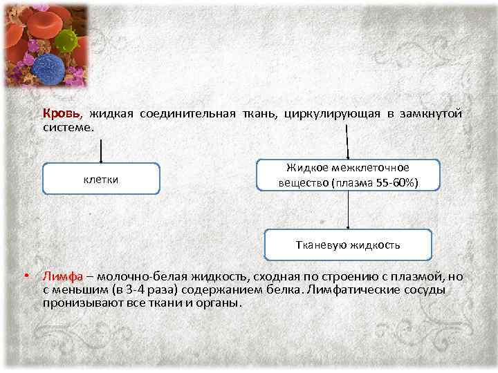 Кровь, жидкая соединительная ткань, циркулирующая в замкнутой системе. клетки Жидкое межклеточное вещество (плазма 55