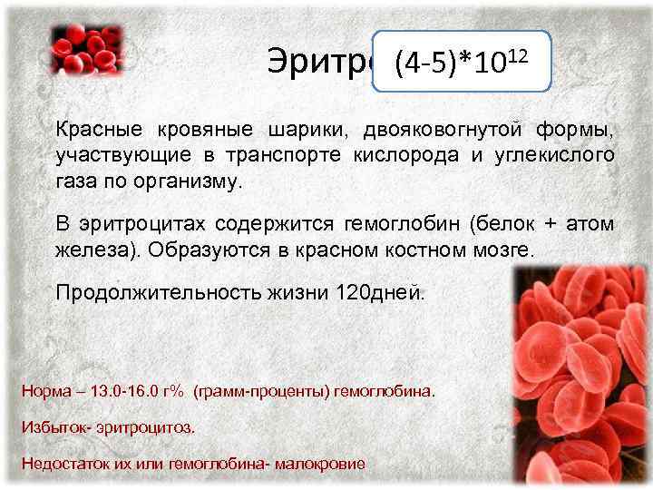 (4 -5)*10 Эритроциты 12 Красные кровяные шарики, двояковогнутой формы, участвующие в транспорте кислорода и