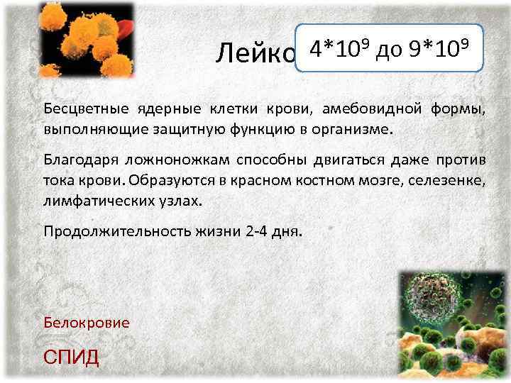4*109 до 9*109 Лейкоциты Бесцветные ядерные клетки крови, амебовидной формы, выполняющие защитную функцию в