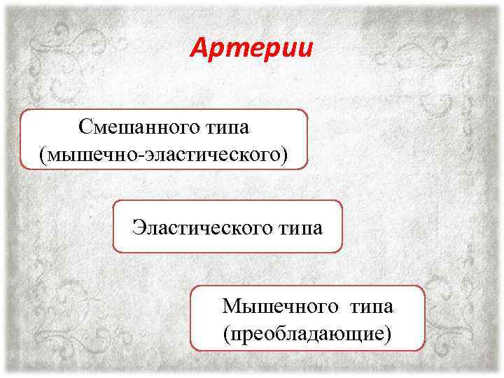 Артерии Смешанного типа (мышечно-эластического) Эластического типа Мышечного типа (преобладающие) 