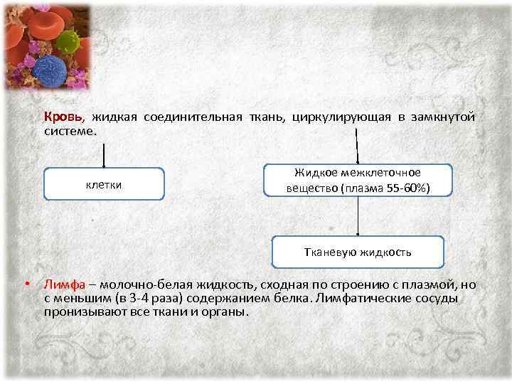 Кровь, жидкая соединительная ткань, циркулирующая в замкнутой системе. клетки Жидкое межклеточное вещество (плазма 55