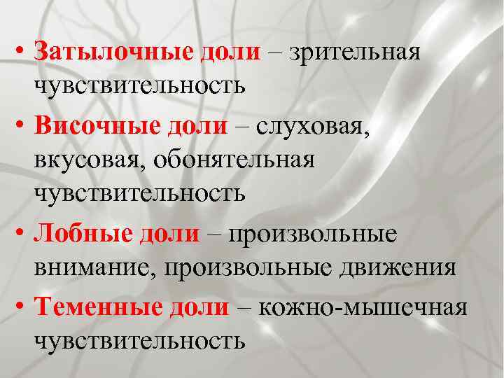  • Затылочные доли – зрительная чувствительность • Височные доли – слуховая, вкусовая, обонятельная
