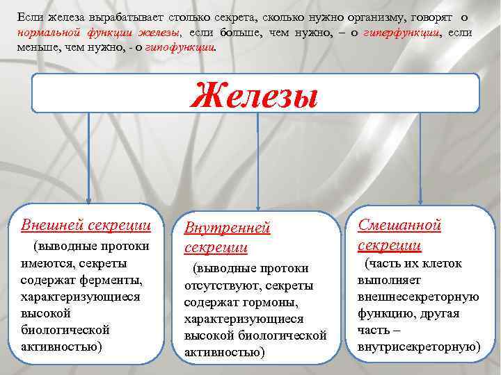 Если железа вырабатывает столько секрета, сколько нужно организму, говорят о нормальной функции железы, если