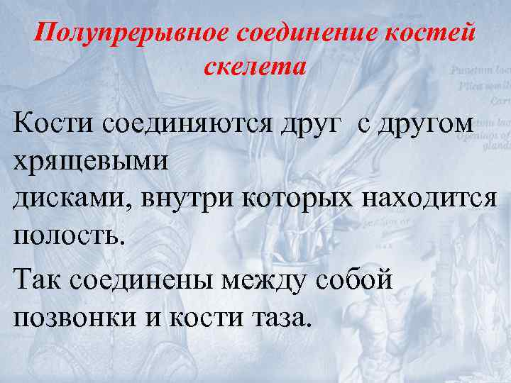 Полупрерывное соединение костей скелета Кости соединяются друг с другом хрящевыми дисками, внутри которых находится