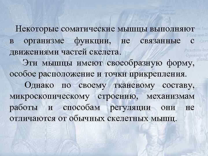 Некоторые соматические мышцы выполняют в организме функции, не связанные с движениями частей скелета. Эти