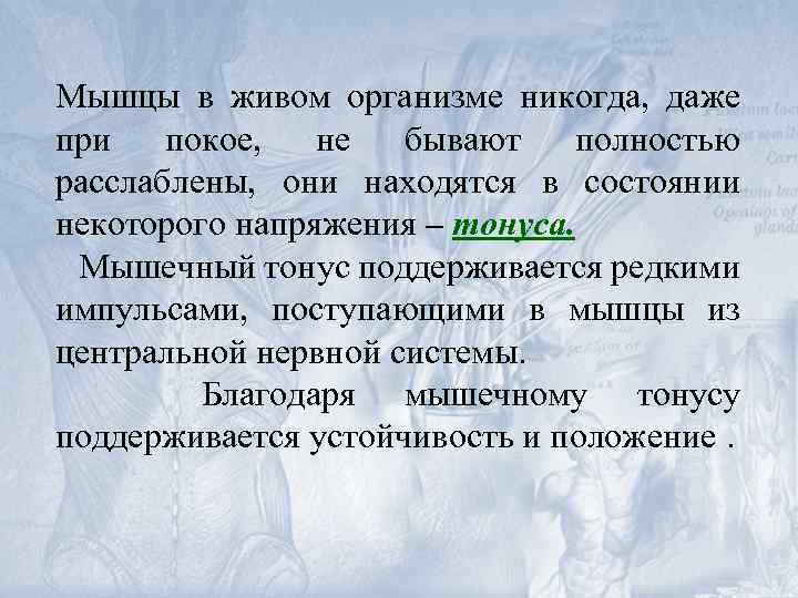 Мышцы в живом организме никогда, даже при покое, не бывают полностью расслаблены, они находятся